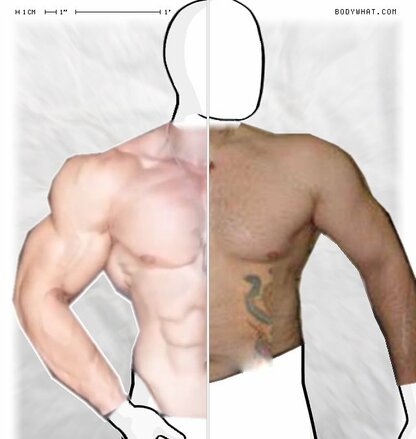 Torso Comparison