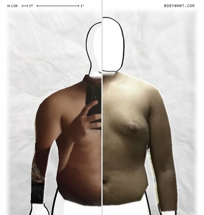 Torso Comparison