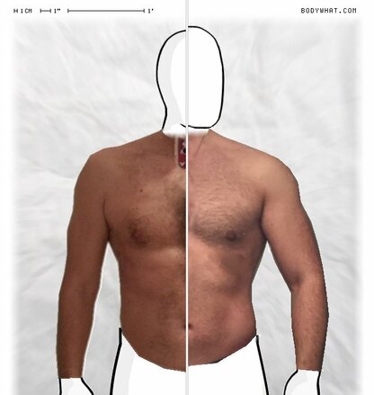 Torso Comparison