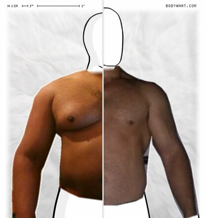 Torso Comparison