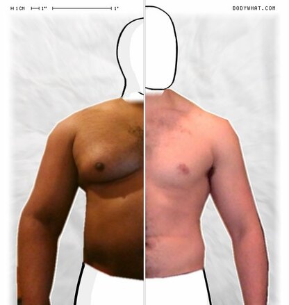 Torso Comparison