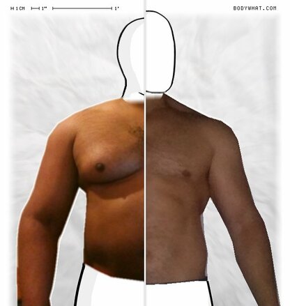 Torso Comparison