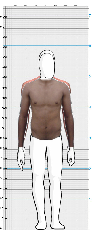 Full Size Comparison