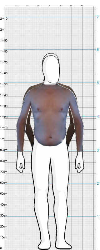 Full Size Comparison