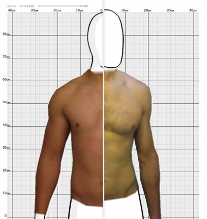 Torso Comparison