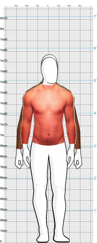 Full Size Comparison