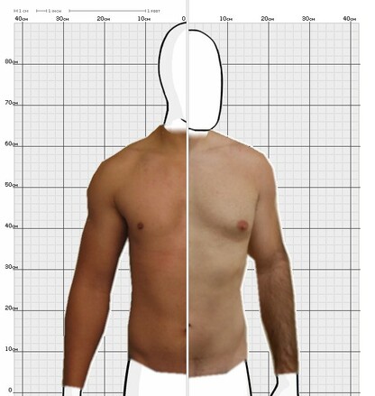 Torso Comparison