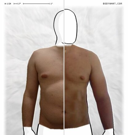Torso Comparison