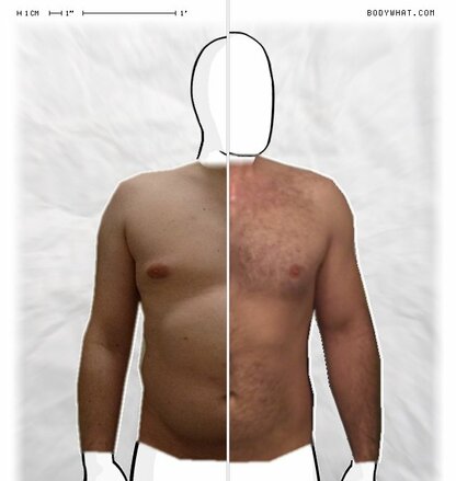 Torso Comparison