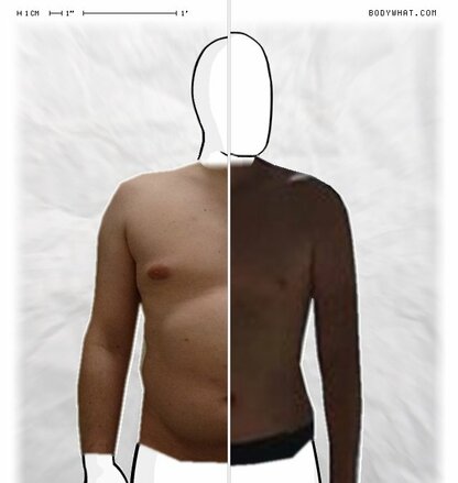 Torso Comparison