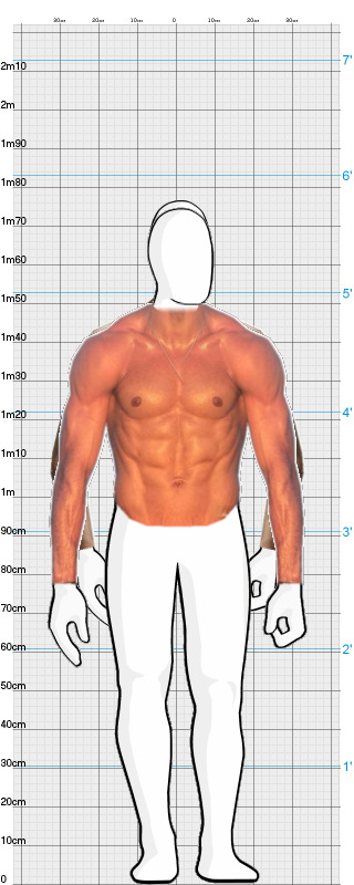 Full Size Comparison