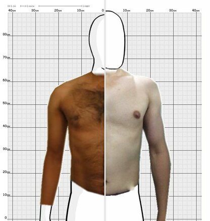 Torso Comparison