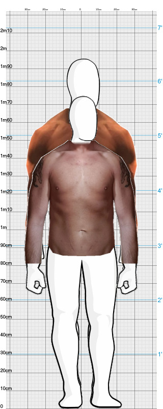 Full Size Comparison