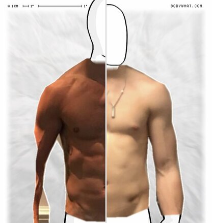 Torso Comparison