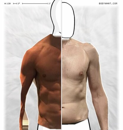 Torso Comparison