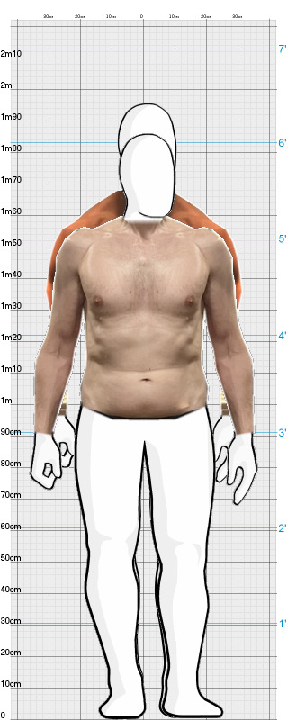 Full Size Comparison