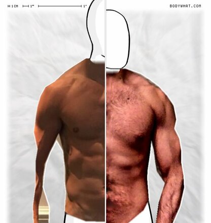 Torso Comparison