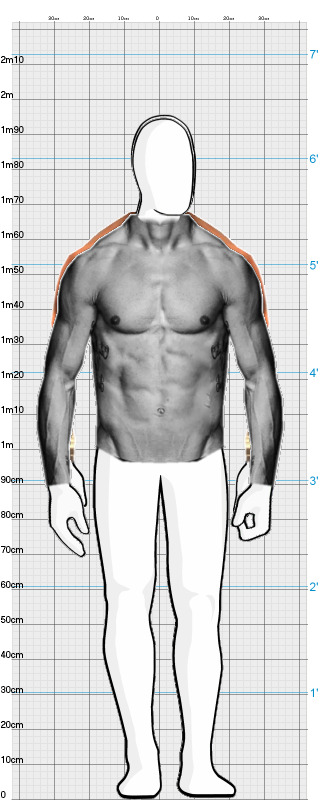 Full Size Comparison