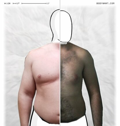 Torso Comparison