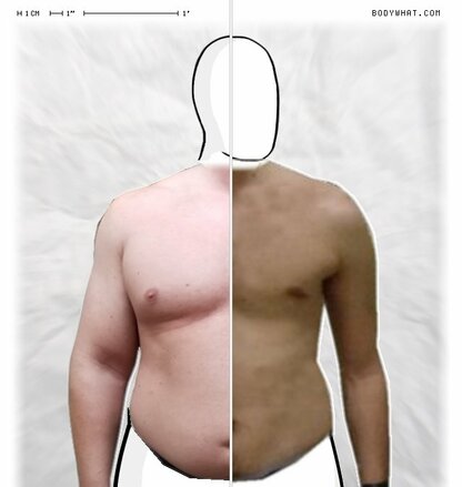 Torso Comparison
