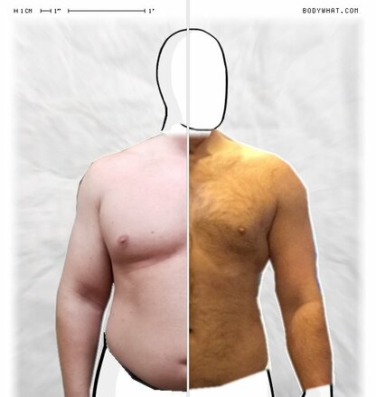 Torso Comparison