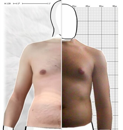 Torso Comparison