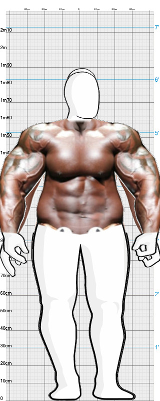 Full Size Comparison