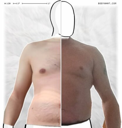 Torso Comparison