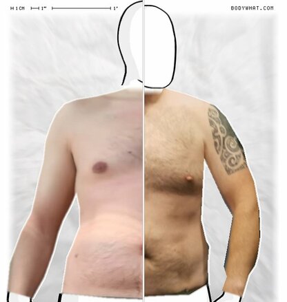 Torso Comparison