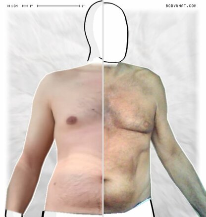 Torso Comparison