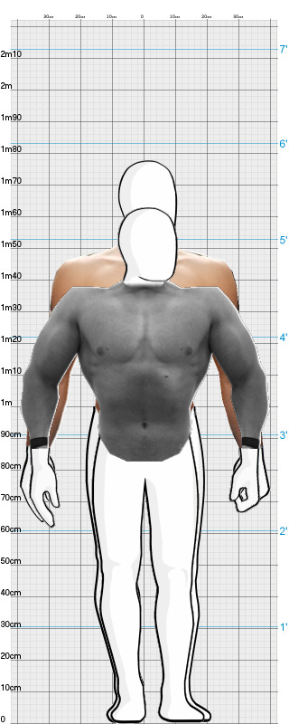 Full Size Comparison