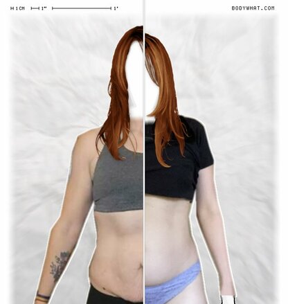 Torso Comparison