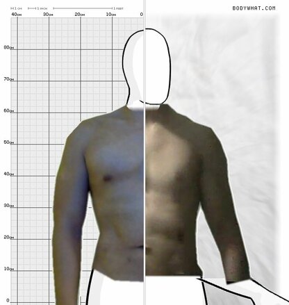 Torso Comparison