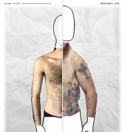 Torso Comparison