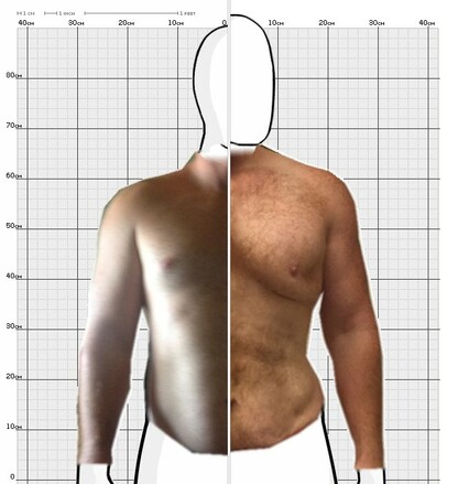 Torso Comparison