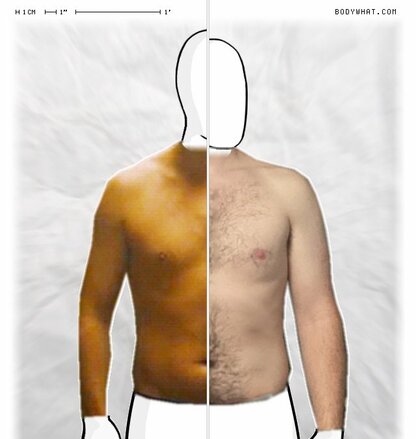 Torso Comparison