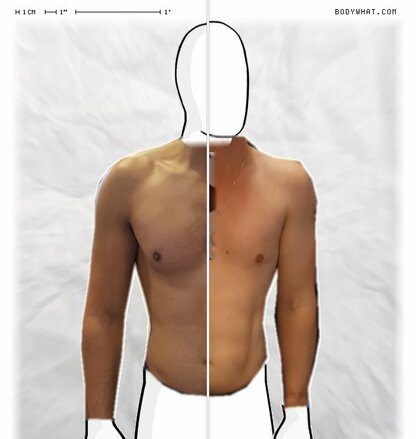 Torso Comparison