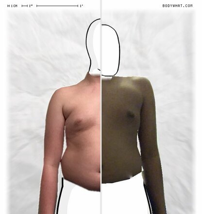 Torso Comparison