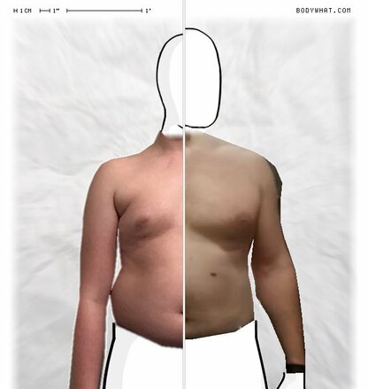 Torso Comparison