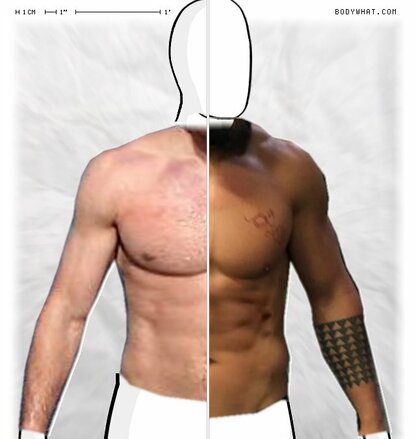 Torso Comparison