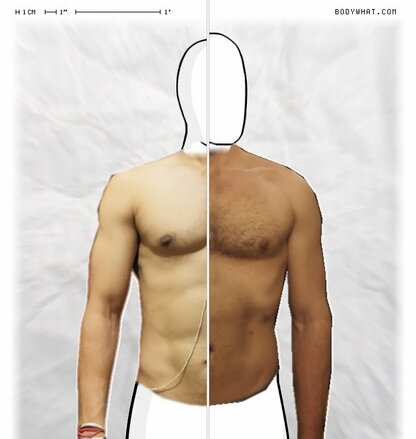 Torso Comparison