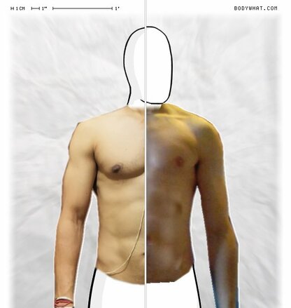 Torso Comparison