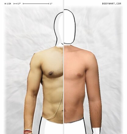 Torso Comparison