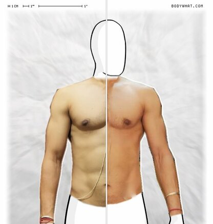 Torso Comparison