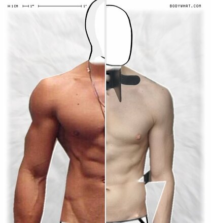 Torso Comparison