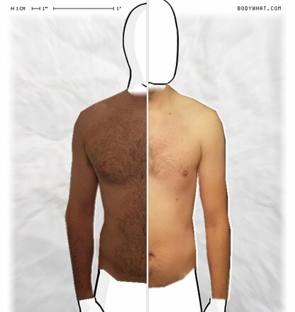 Torso Comparison