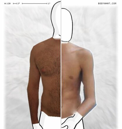 Torso Comparison