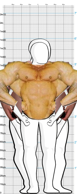 Full Size Comparison