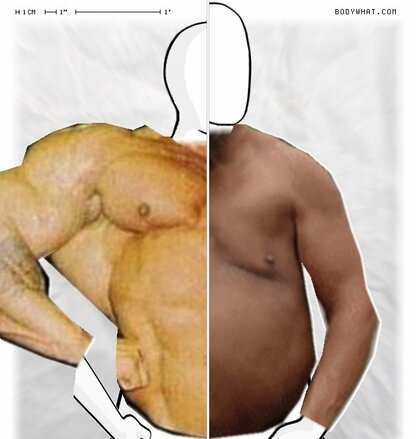 Torso Comparison