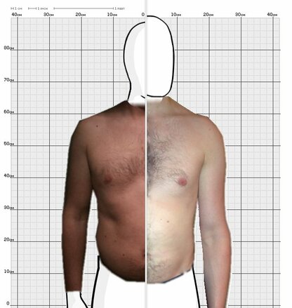 Torso Comparison
